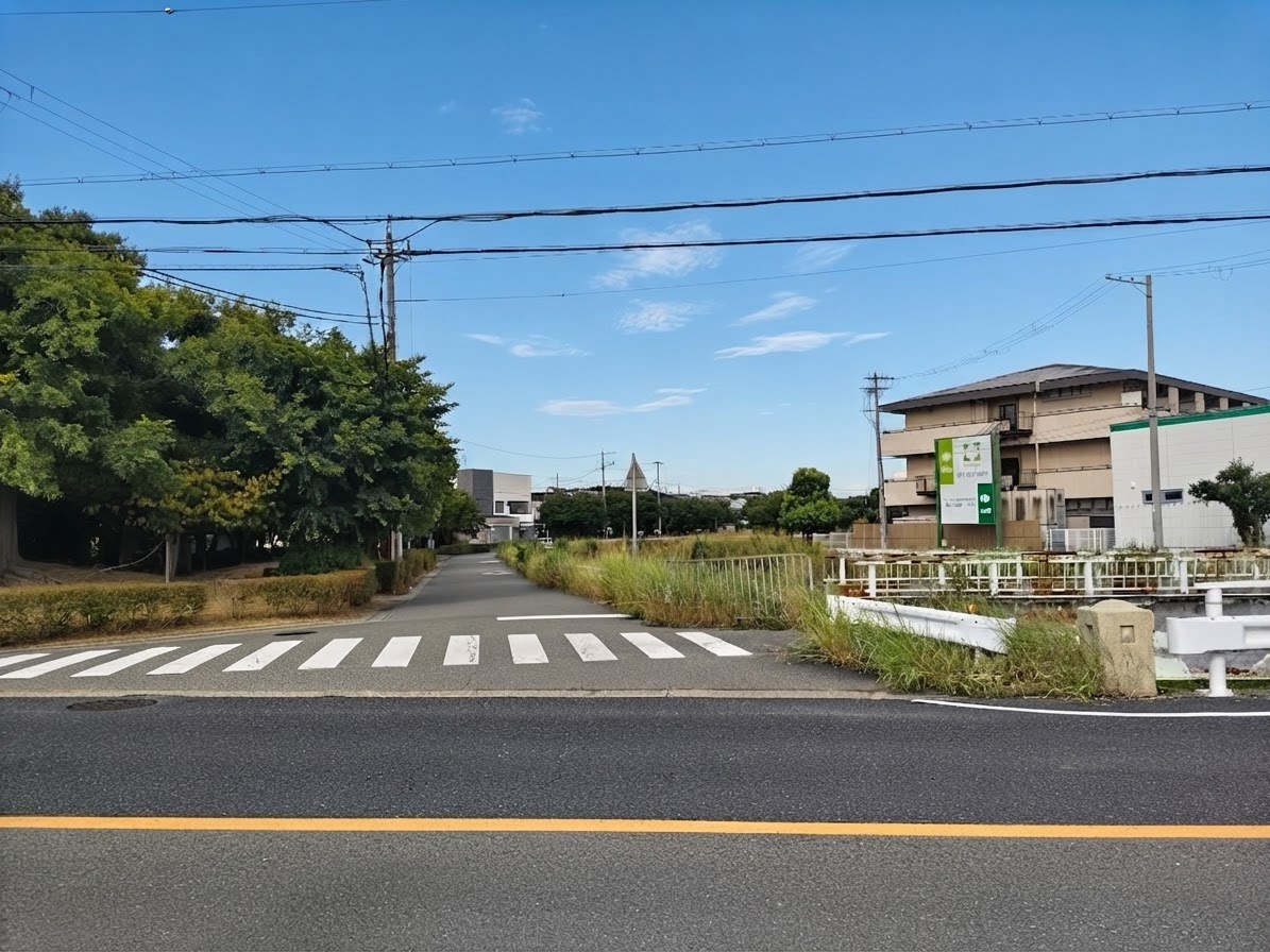 横断歩道のある交差点から北へ向かう道